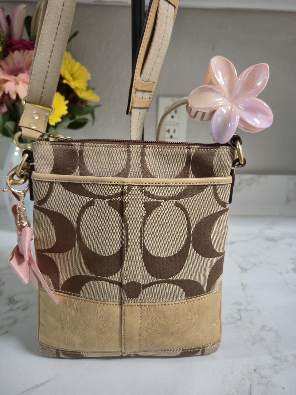 Coach Signature Canvas Crossbody Bag in Brown/Tan